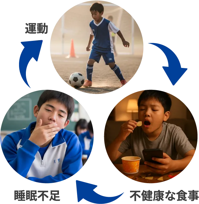 疲労を招く悪循環